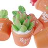 5Pcs Micro-Landscape Resin Cactus Horticultural Bonsai Diy Small Ornaments Toy