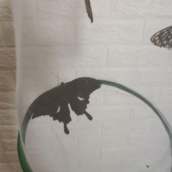 Клетка для экспериментов с бабочками Ручная Легкое хранение Складная Дышащая Прозрачная Кормление Портативная Наблюдение