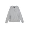 Printed Crewneck Long Sleeve Sweatshirt Men Tops Grey DV1287-091