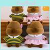 Wedding Themed Capybara Plush Toy With Detachable Clothes For Couples Gift