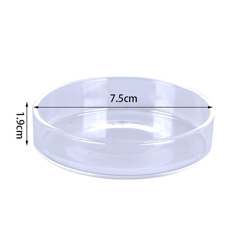 Clear Glass Shrimp Feeding Food Dish Feeder Tray Round Aquarium Feeding Bowls