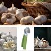 Stainless Steel Garlic Press Handheld Garlic Smasher Squeezer Crusher Mincer Manual Press Grinding