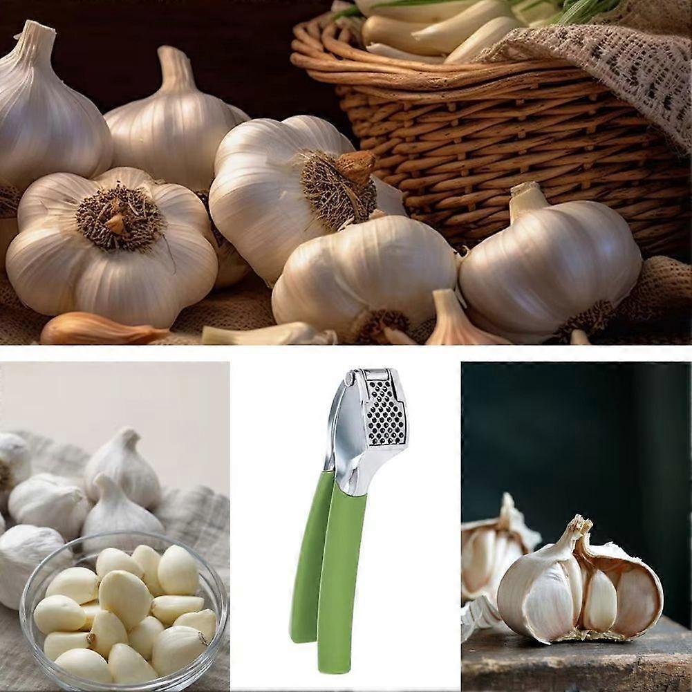 Stainless Steel Garlic Press Handheld Garlic Smasher Squeezer Crusher Mincer Manual Press Grinding