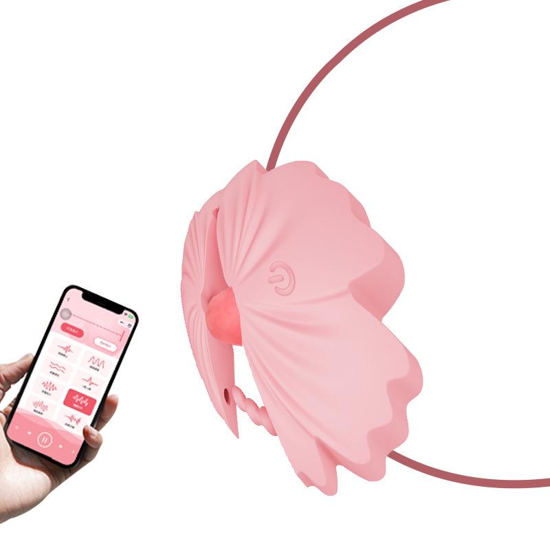 Nipple Vibrator Toy Nipple Clamps BDSM 9 Vibration Modes, Nipple G-Spot Stimulation, Adult Sex Toy Suitable for Women and Couples