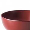 Lacquerware Made in Japan J-kitchens Bowl, Hand-painted, PID-527988,