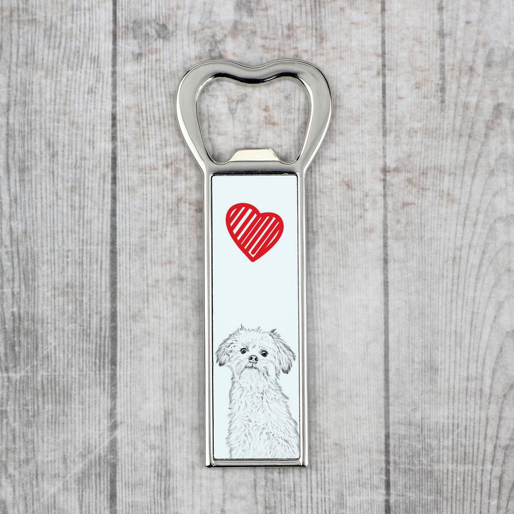 Lowchen, Little Lion Dog – Bottle opener with a dog, personalized fridge opener | Art-Dog
