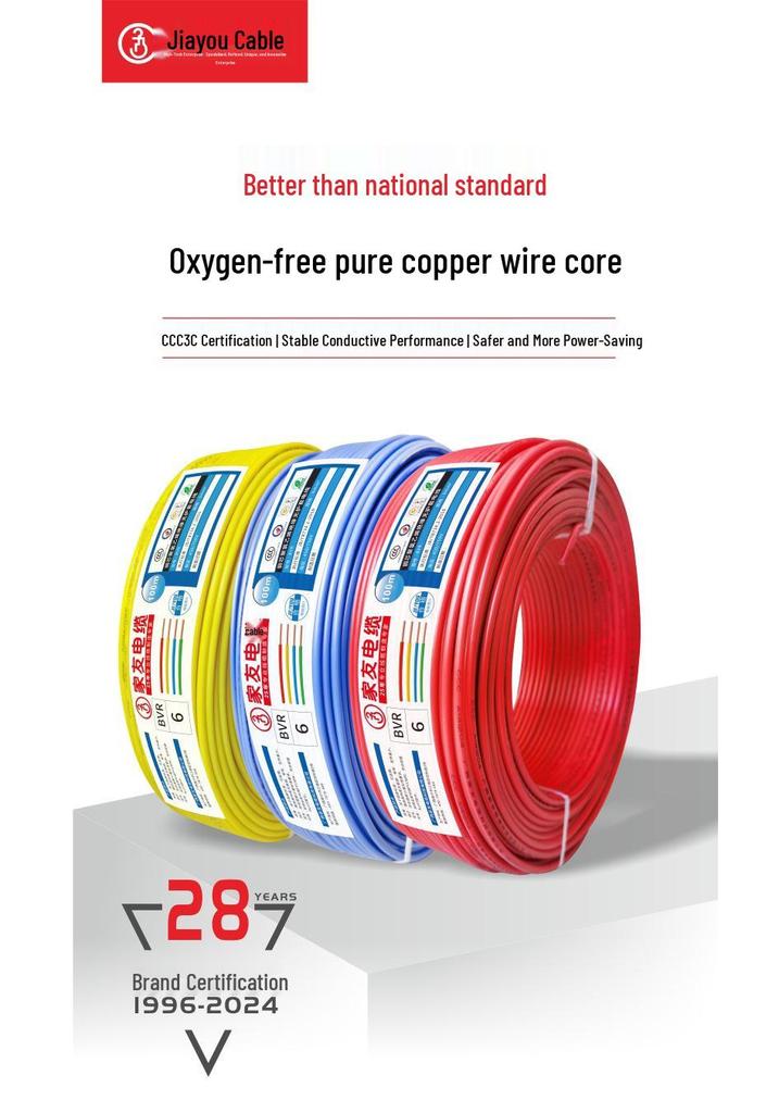 Jiayou BVR Multi-Strand Soft Copper Wire for Home Decoration (1/2.5/4/6 Sq mm)