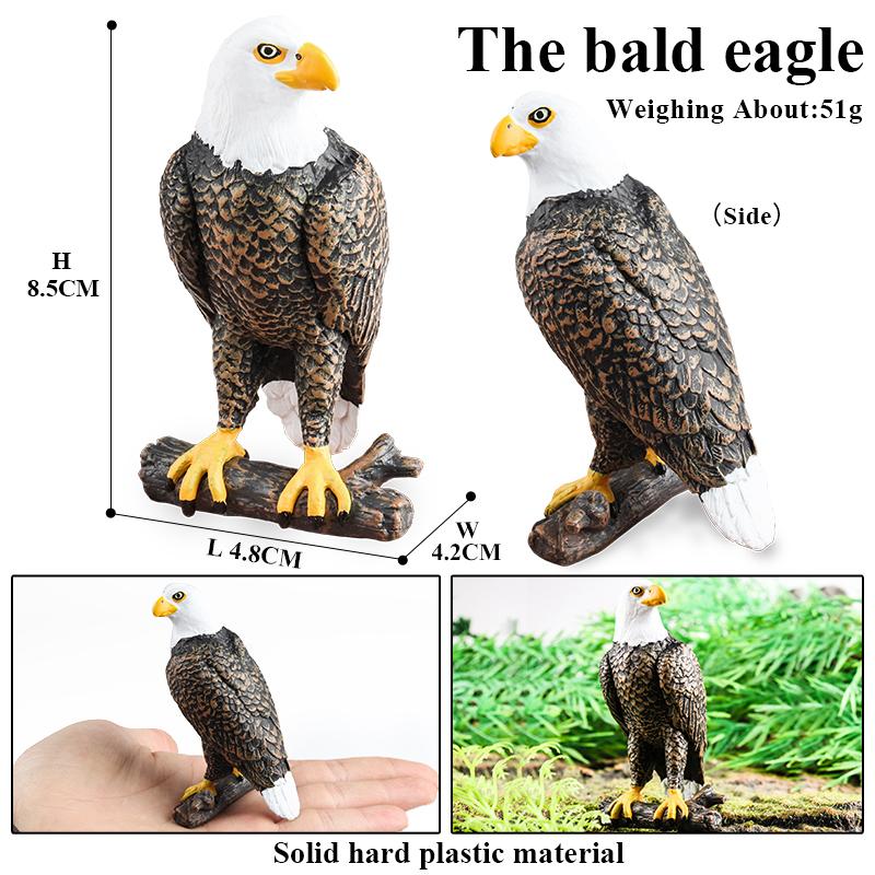 Oenux Дикие Птицы Животные Лес Ночной Орел Кондор Фигурки ПВХ Фигурка Садовое Украшение Образование Миниатюрная Игрушка Подарок для Ребенка