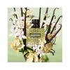 Valentino Donna Born in Roma Green Stravaganza perfume 50 ml Green