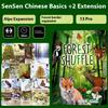 Forest Shuffle Card Game Create An Ecological Paradise Clever Strategy Game For Kids & Adults, Ages 10+, 2-5 Players