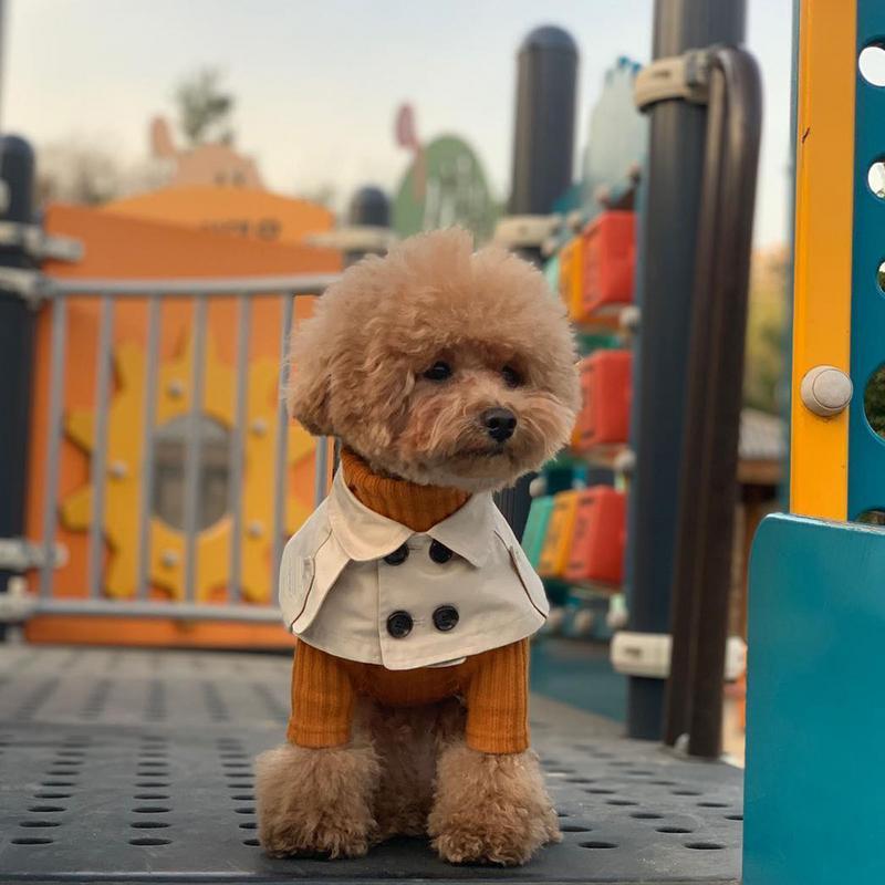 Fashion British Style Dog Cloak Windbreaker CorgiFrench Bulldog Pet Dog Bib Pet Clothing Cape Pets Costume Trench For Small Dog