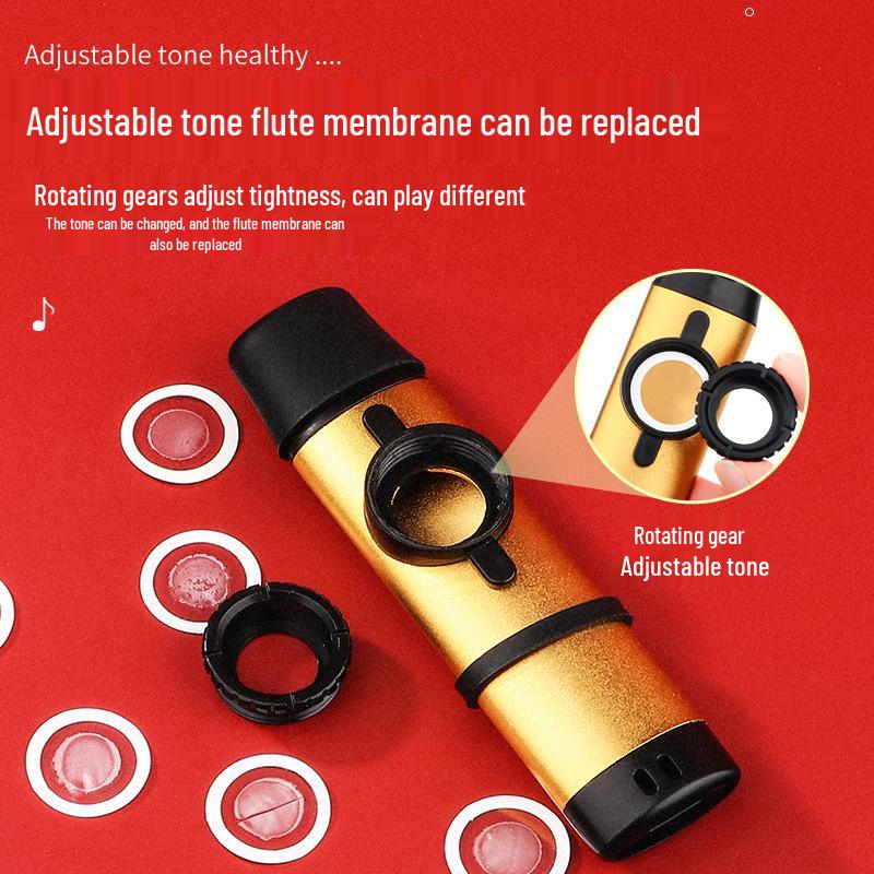 Professional Metal Kazoo Flute for Beginners - Easy Guitar Accompaniment & Unique Niche Instrument