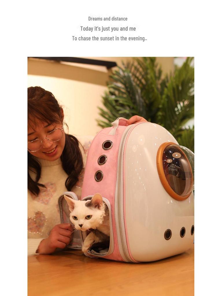 "Pet Portable Transparent Cat Backpack with Side Opening, Large Capacity, Breathable Design"