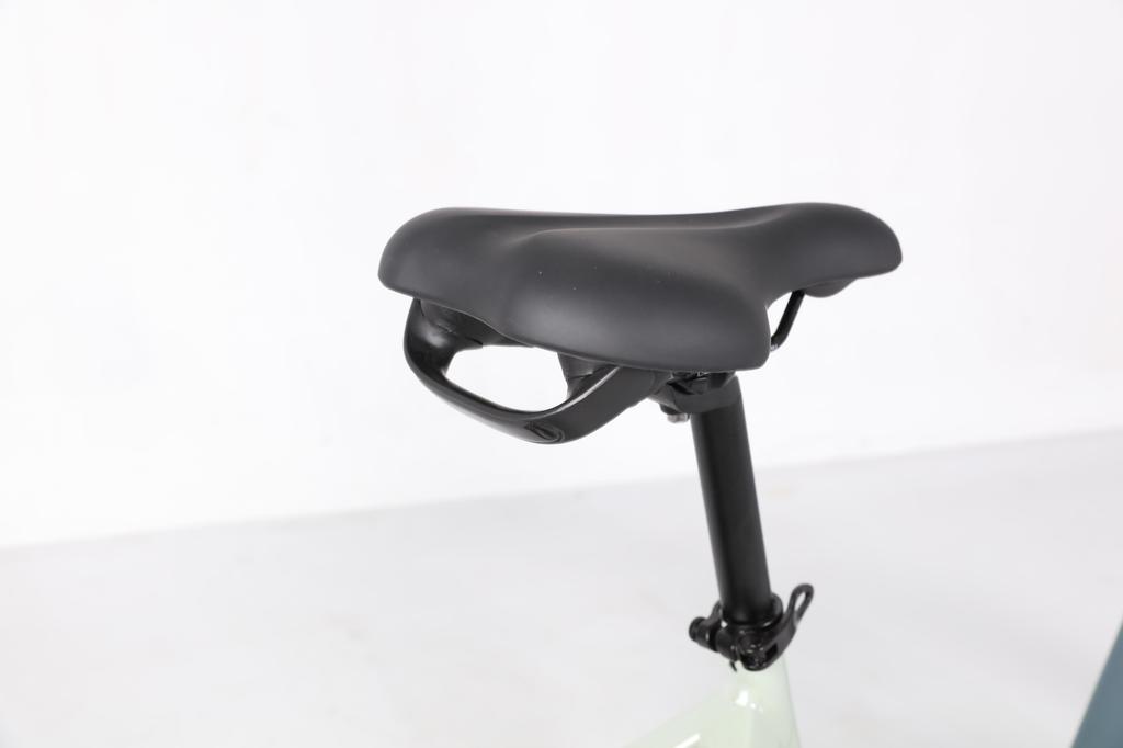 JOBOBIKE ROMER Electric Bicycle 250W Quiet Motor 48V 15Ah Battery Front Suspension for Smooth Riding Experience