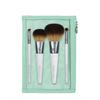 Ecotools On The Go Style Set 5 Piezas