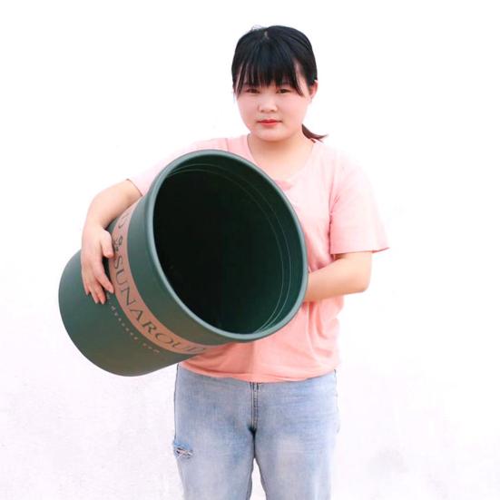 Пластиковый галлонный цветочный горшок, корзина для цветов, детский горшок, украшение для балкона