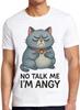 Не говори со мной, я злой кот Мем Топ Крутой Забавный Подарок Футболка T-Shirt 2743