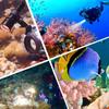 Мощный светодиодный фонарь для дайвинга, высокая яркость, профессиональный подводный фонарь, водонепроницаемость IPX8, с ручным ремешком