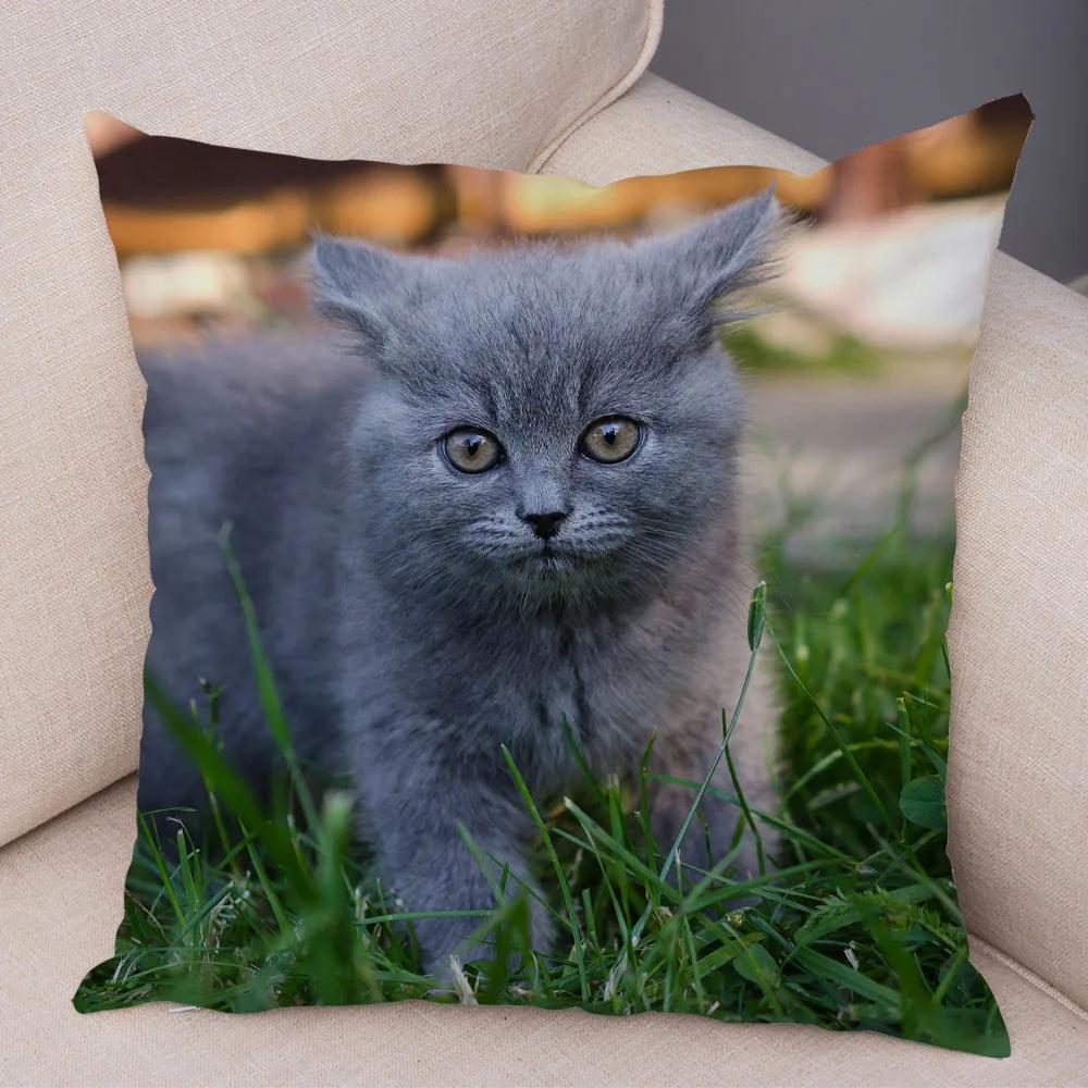 Русская голубая Британская короткошерстная Наволочка Декор Милый кот Домашнее животное Животное Наволочка Мягкий плюшевый Чехол для подушки для машины Дивана Дома