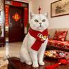 Красный вязаный кошачий шарф Китайский Новый год Шарф для питомца Вышитый шарф на удачу для кошек и маленьких собак Аксессуар для наряда на Праздник Весны