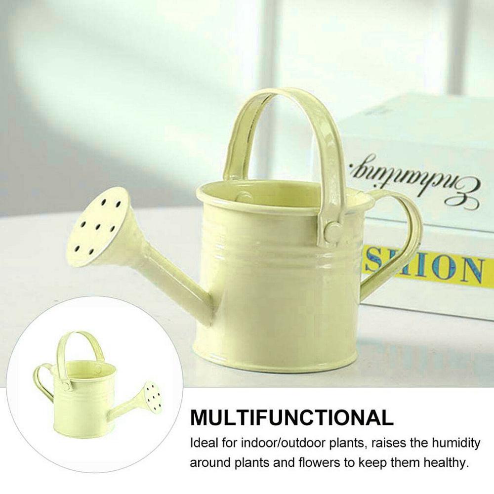 Garden Mini Kawaii Metal Water Spraying Pot Flower Kettle Watering Can