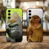 Обезьяньи Мемы Смешной-d-D Чехол для Телефона для Samsung Galaxy A73,A72,A71,A70,A53,A52,A51,Мягкий Силиконовый Черный Чехол