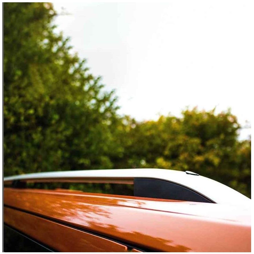 Roof rails VOLKSWAGEN CADDY FORD TRANSIT CONNECT LONG 2020- SILVER