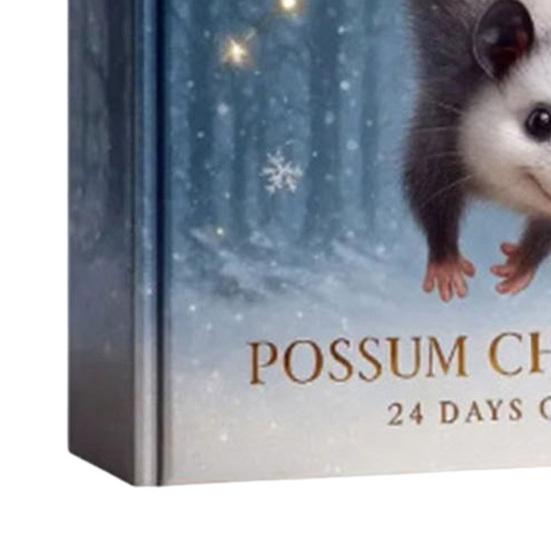 Календарь ожидания Рождества Опоссум 24 дня радости Акриловое украшение для декора елки Праздничный обратный отсчет