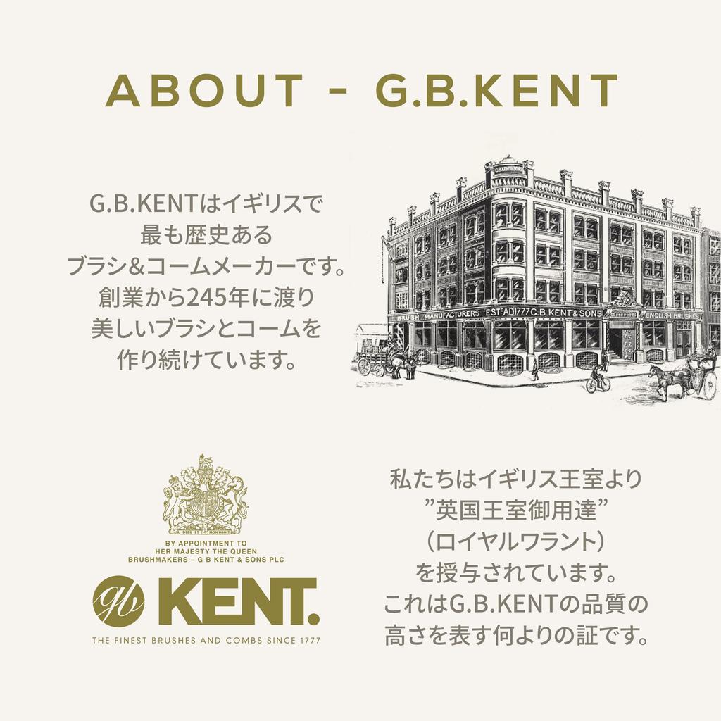 Travel Size Premium Pig Royal Warrant LR31 G.B.KENT Hairbrush, Bristle, Holder,