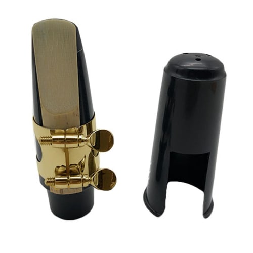Professional E-flat Alto Saxophone Accessory Set, Protective Cover, Ligature Fasteners, Mouthpiece, and Reed
