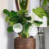 Self Watering Globes Glass Rainbow Plant Watering Globes Self Watering Planter Insert Automatic Plant Waterer Indoor