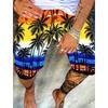 Hawaiian Swimming Trunks 3D Stitching Printed Beach Shorts Quick-drying Outdoor Leisure Sports Shorts Swimwear Short