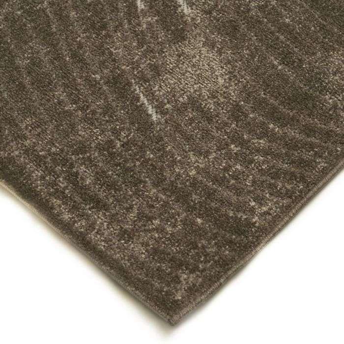 Tapis moderne pour intérieur-extérieur brun 120x170