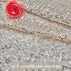 3mm Stripe Sequin Embroidery Mesh Fabric for Dress or Costume