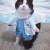 Хэллоуинский костюм для питомца Смешной костюм собаки кошки Доктор Одежда для питомца Доктор Смешная одежда для косплея Платье Одежда Наряд Форма