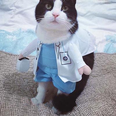 Хэллоуинский костюм для питомца Смешной костюм собаки кошки Доктор Одежда для питомца Доктор Смешная одежда для косплея Платье Одежда Наряд Форма