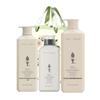шампунь, conditioner & shower gel family set