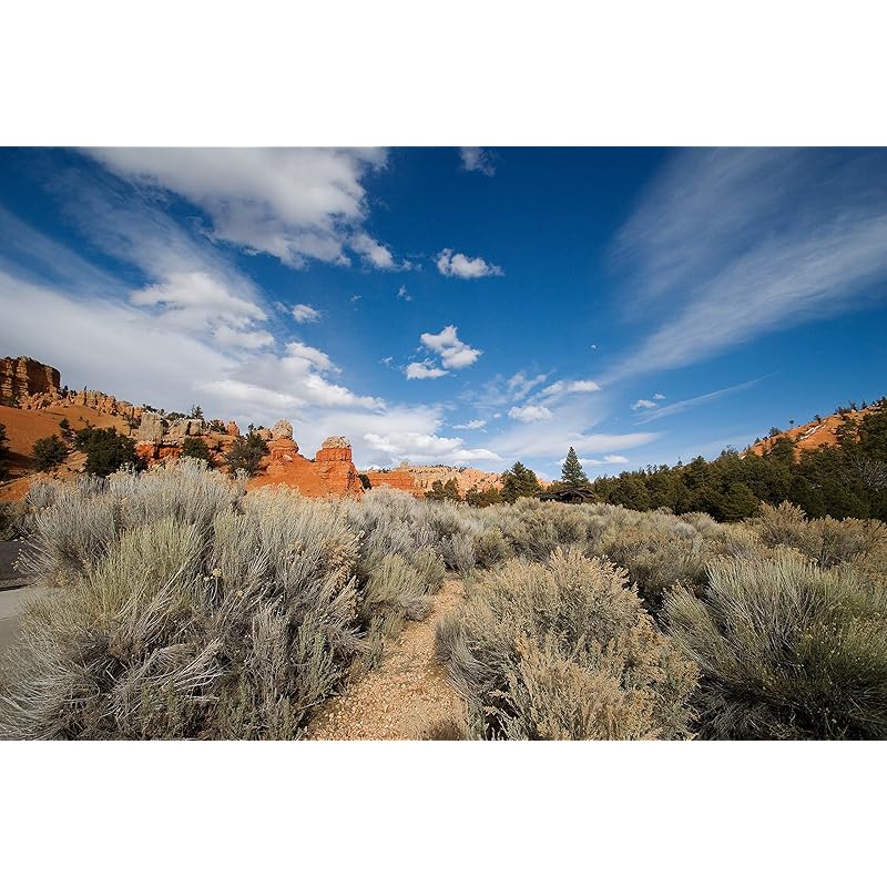 TAMRON ultra wide angle zoom lens SP AF10-24mm F3.5-4.5 DiII for sony APS-C only B001S