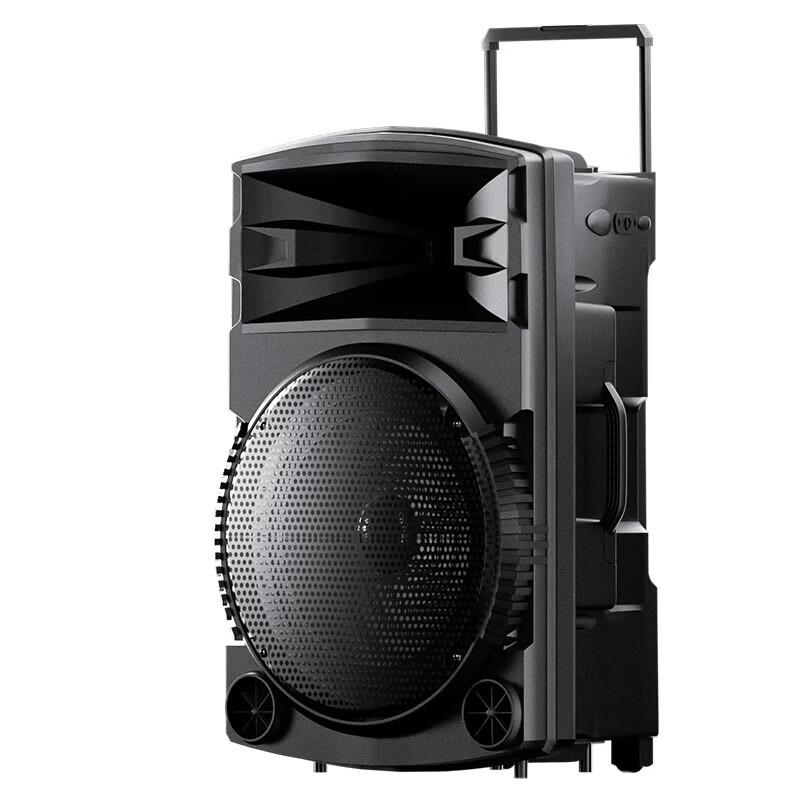 Newman N522 12-дюймовая портативная уличная Bluetooth-колонка для караоке, штепсель CN (адаптер в комплекте)