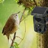 20MP/1080P Solar Trail Camera Waterproof Video Photo Recording Cam Wildlife Monitoring Camera for Outdoor Security
