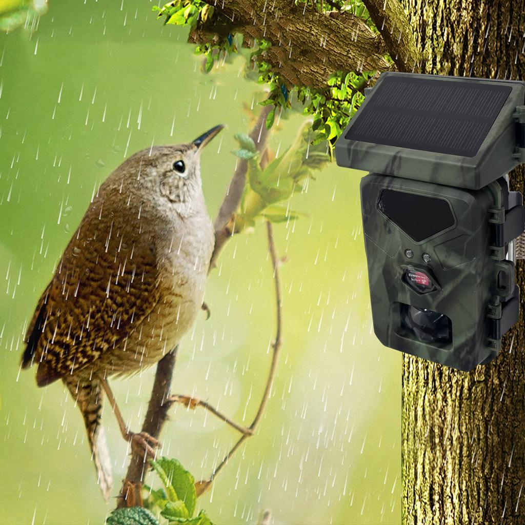 20MP/1080P Solar Trail Camera Waterproof Video Photo Recording Cam Wildlife Monitoring Camera for Outdoor Security