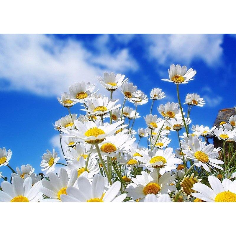 New DIY 5D Diamond Painting Flowers Diamond Embroidery Little Daisy Cross Stitch Full Round Drill Mosaic Home Decor Gift