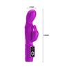 Purple Body Touch Vibrator