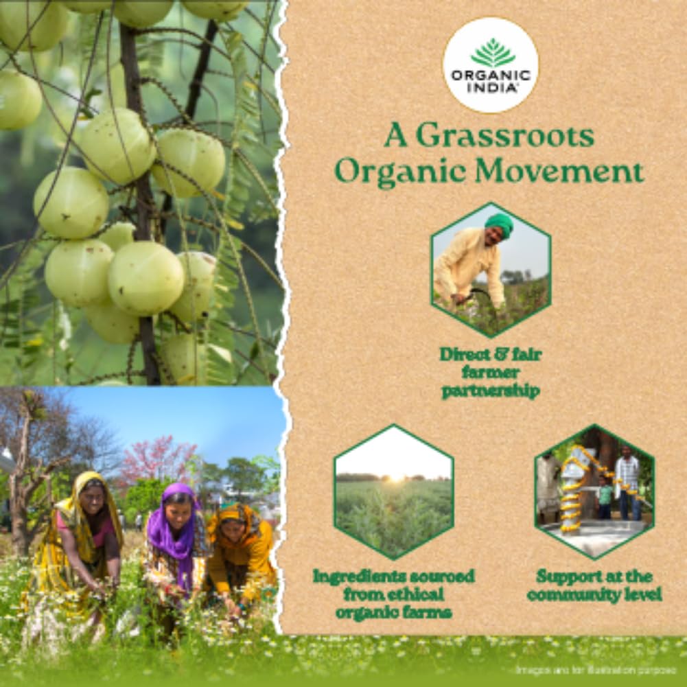 ORGANIC INDIA Зеленый чай с Тулси Классический Рассыпной 100 г Освежающий Антиоксидантный Травяной Сбор для Ежедневного Самочувствия и Спокойных Моментов