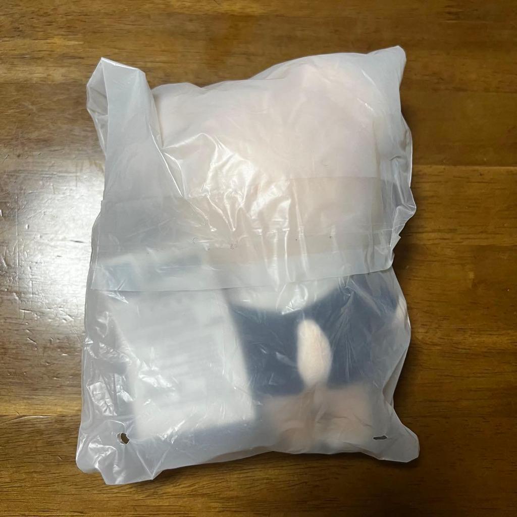 [USED] Stray Kids Seungmin Puppy Plush Toy Mini