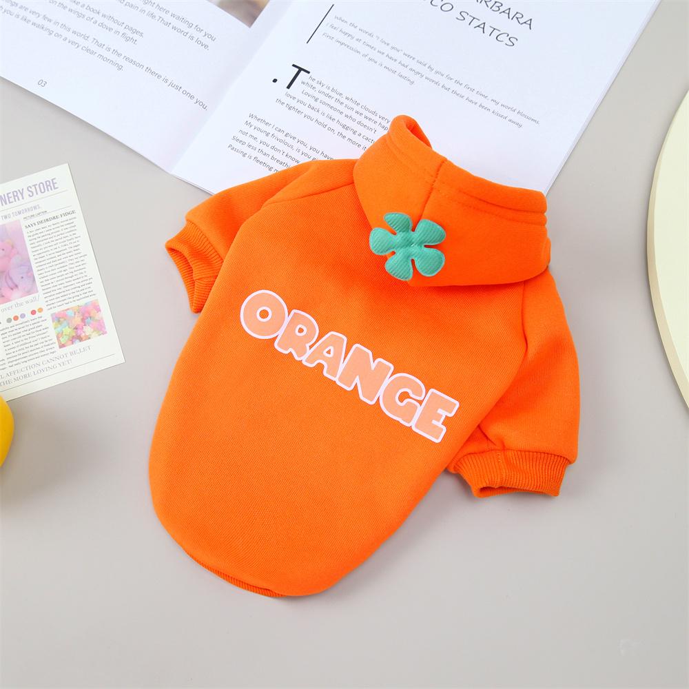 Classic Fruit Print Sphynx Cat Hoodie Sweater Autumn Winter Warm Pet Clothes for Cats Gotas Garfield Katten Dog mascotas Costume
