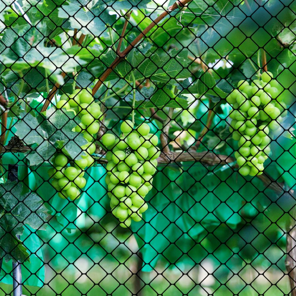 Nylon Bird Netting Mesh Hawk Netting Protective Chicken Coop Netting 25X50 FT Fruit Tree Netting for Anti Birds Deer Squirrels