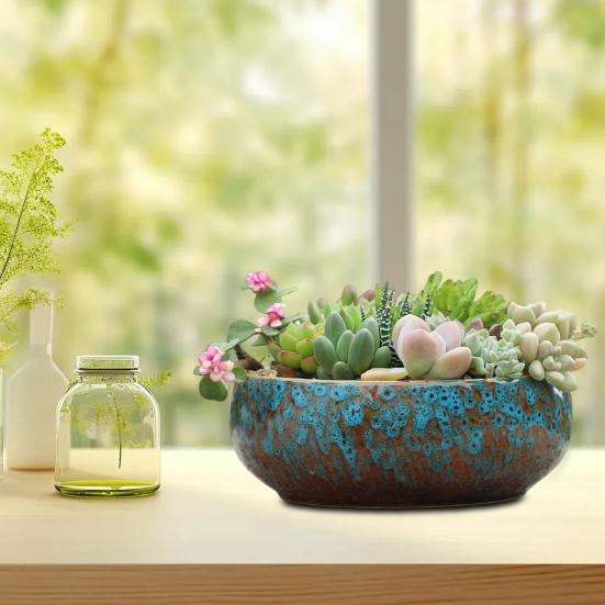 Керамическая чаша-лото для водных растений, герметичный гидропонный цветочный горшок, высокотемпературная керамическая чаша для суккулентов, аквариум