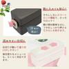 Ланч-бокс Asbel Smart Lock Slim Antibacterial C Lantus SS-T600N 2 яруса серый