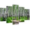 Five Piece Picture Canvas Print Birch Forest Nature